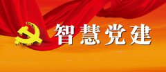 讓智慧黨建真正發揮實效